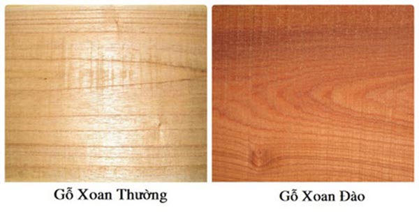 So sánh gỗ xoan đào và gỗ xoan ta