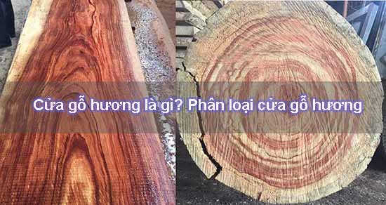 Phân loại gỗ giáng hương