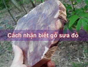 cach-nhan-biet-go-sua-do