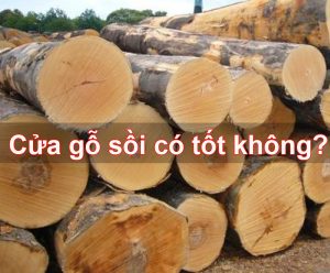 cua go soi co tot khong