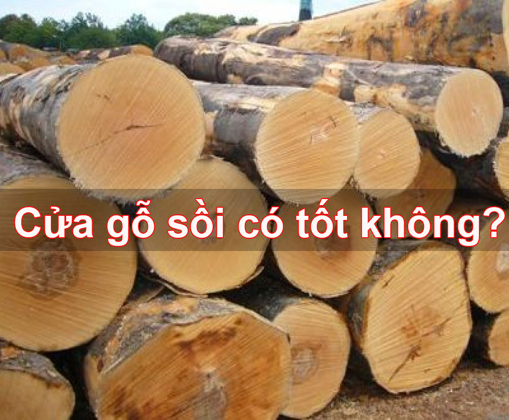 cua go soi co tot khong